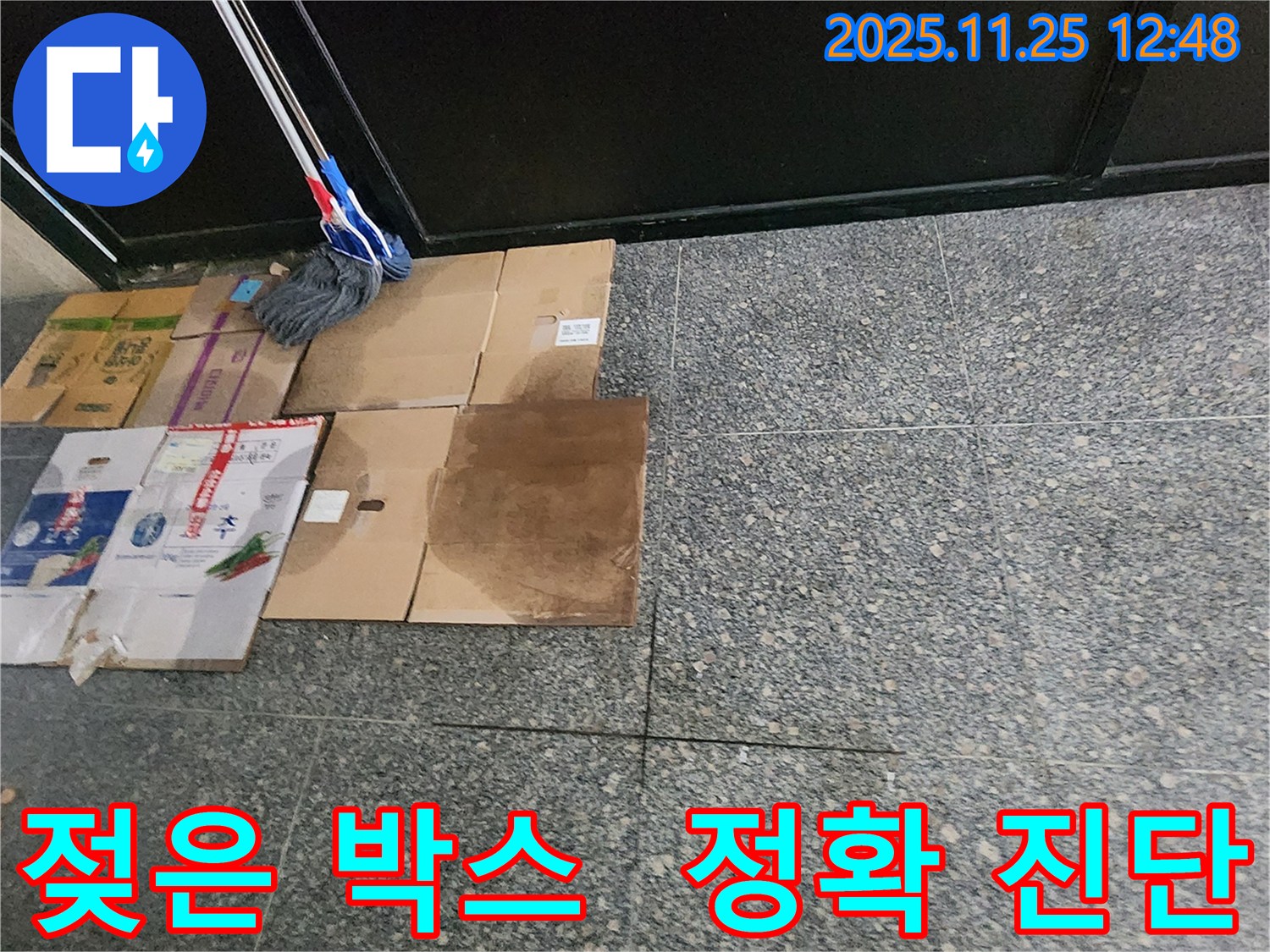 젖은 박스 - 정확한 진단을 위한 필수품