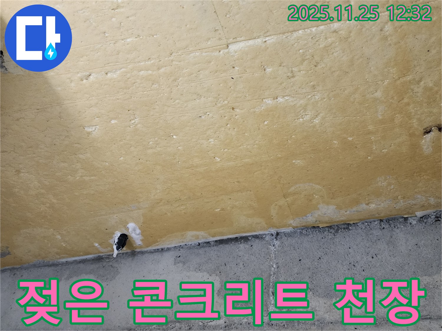 젖은 콘크리트 천장 - 누수 발생 - 건물 손상