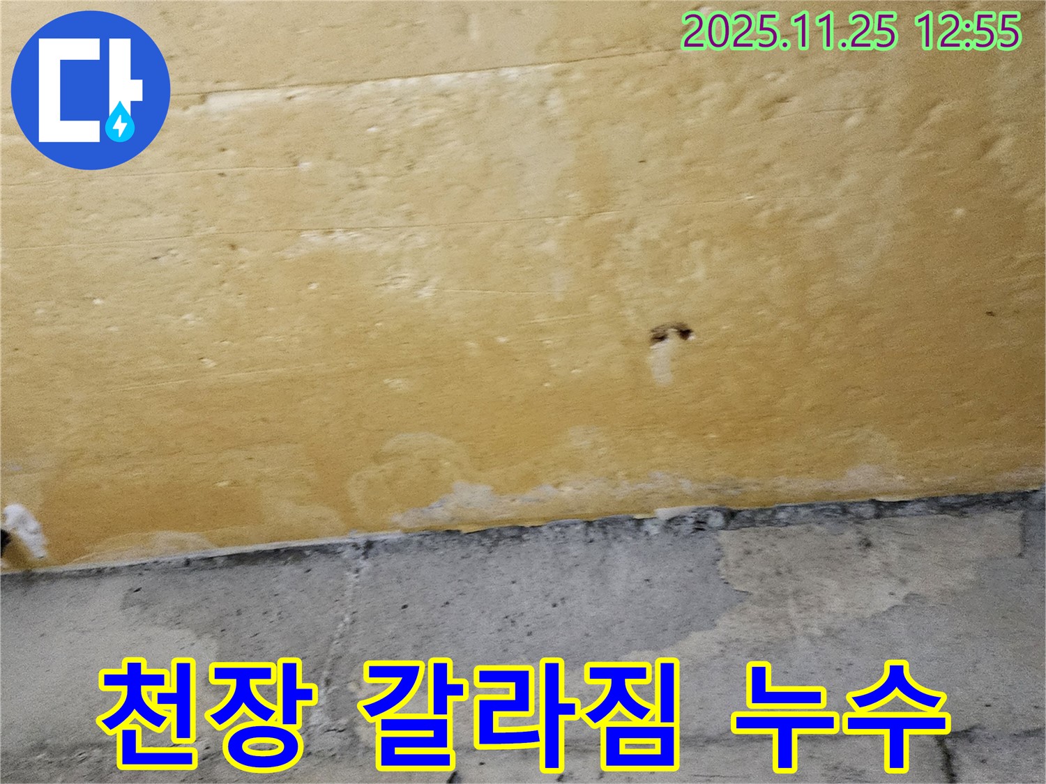 천장 갈라짐 누수 - 건물 안전 적신호 - 정밀 진단