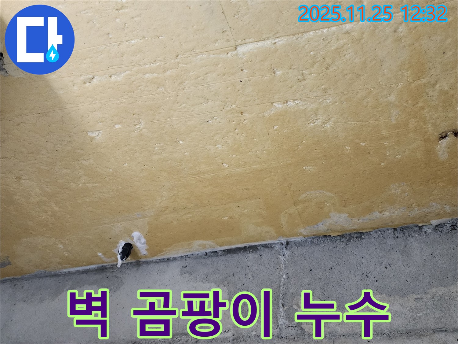 콘크리트 벽 - 곰팡이 - 누수 의심 - 건강 위협
