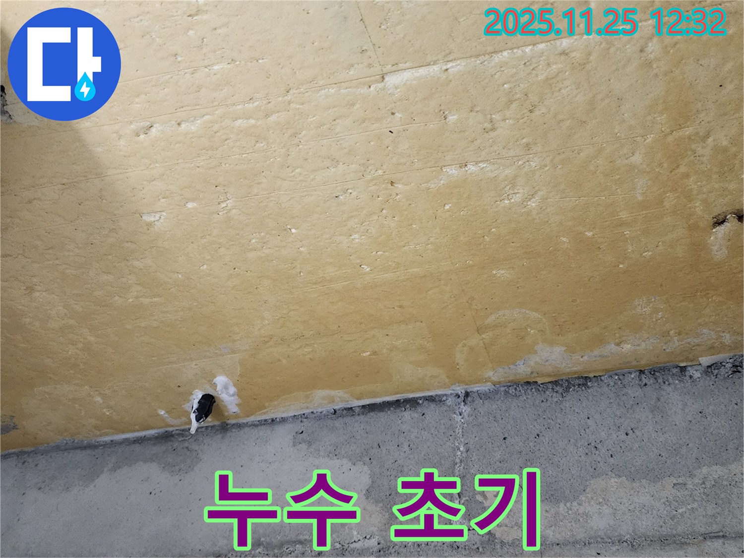 콘크리트 벽 - 누수 초기 - 습기 - 곰팡이