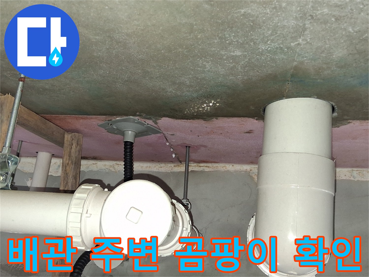 화장실-천장-배관-주변-곰팡이-및-습기-현황