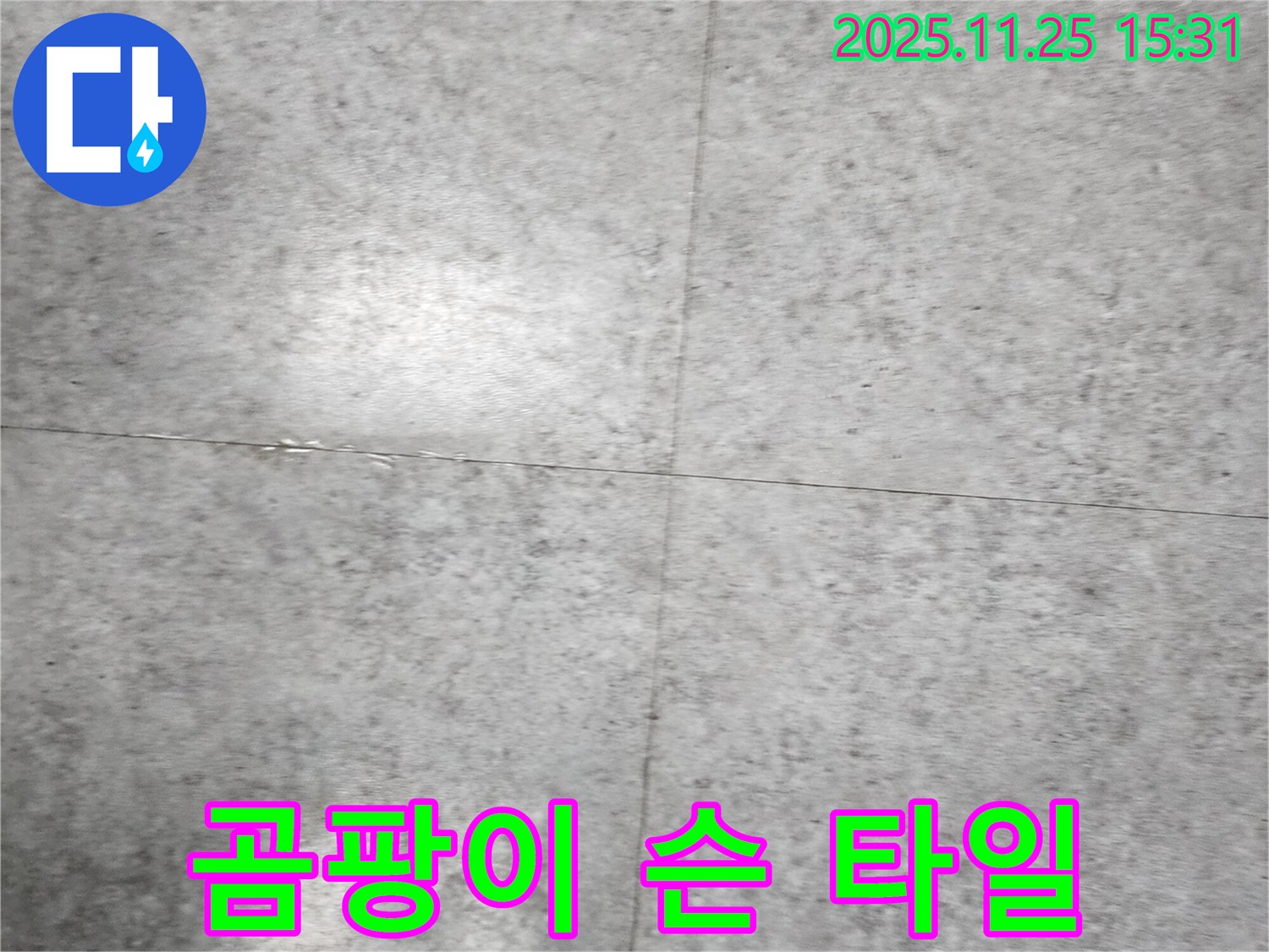 곰팡이 슨 타일 - 누수 문제 해결이 우선입니다.