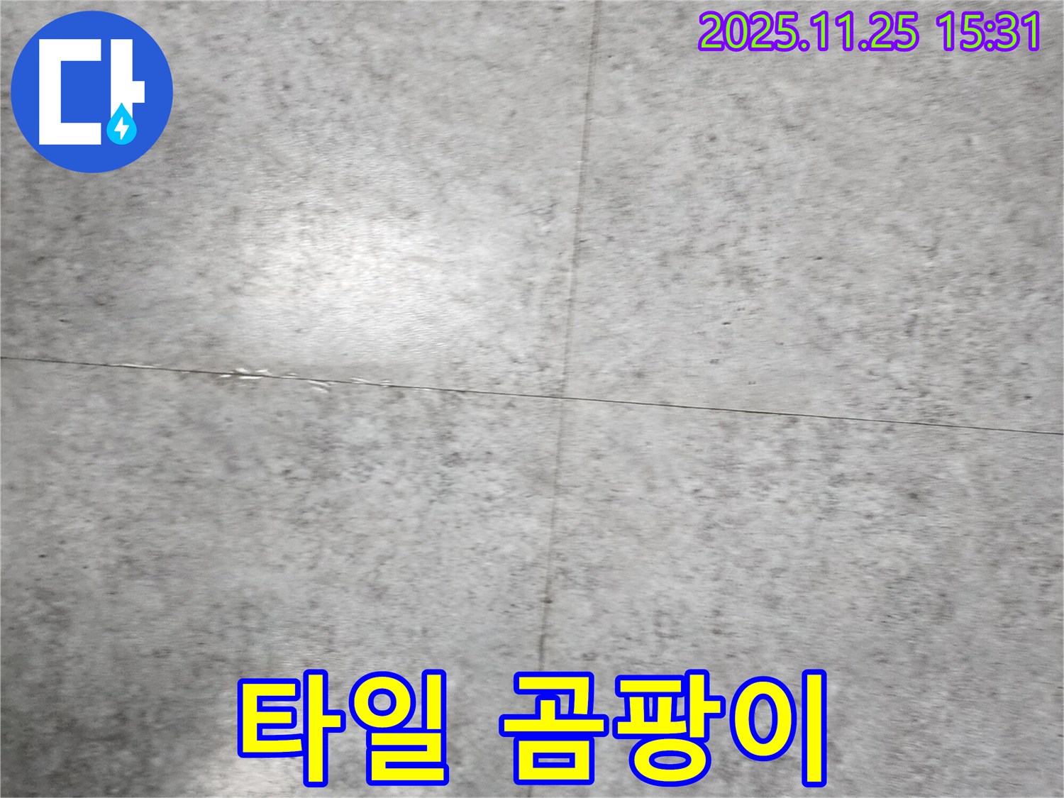 타일 곰팡이 - 누수 해결이 우선입니다!