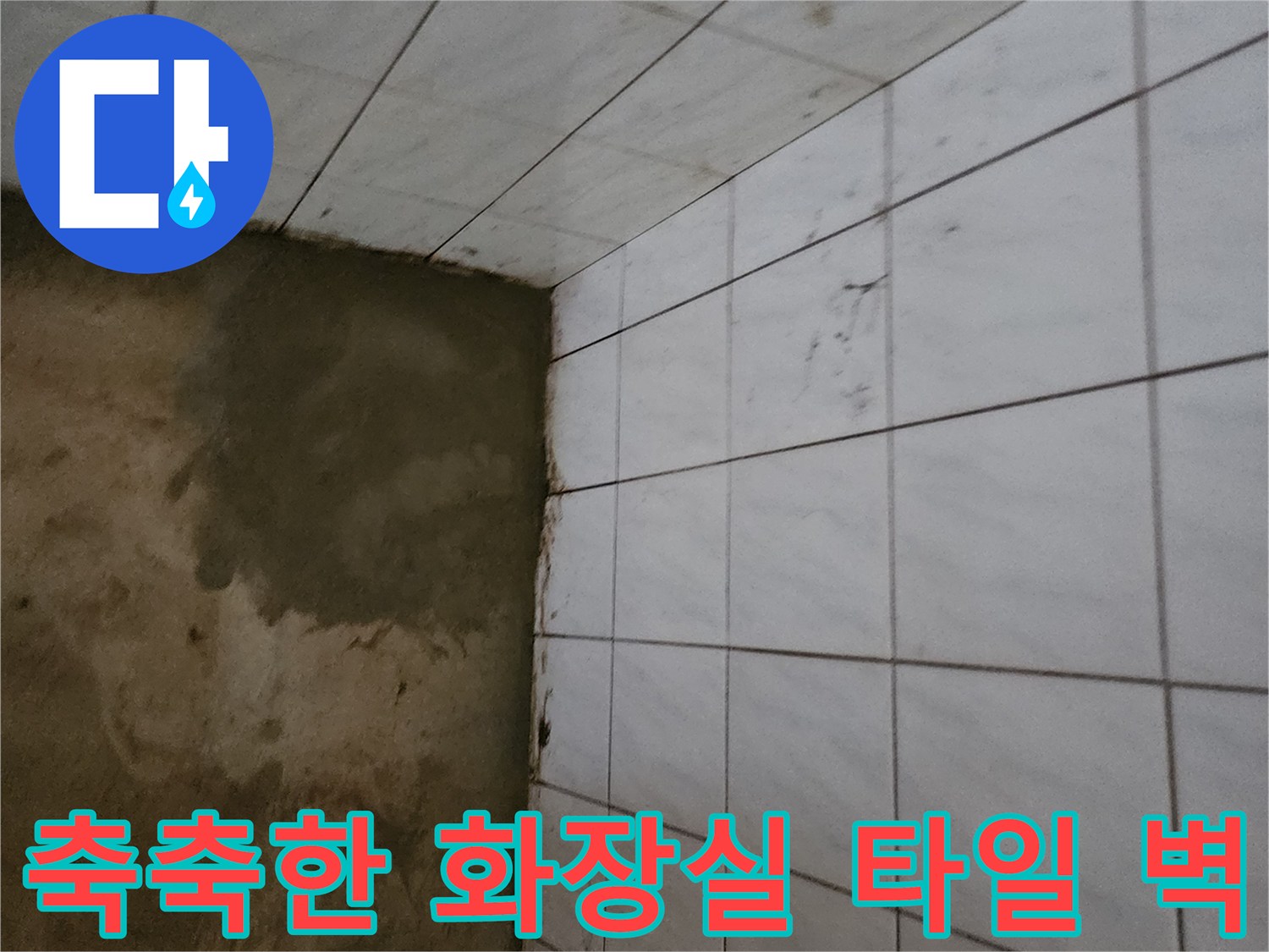 화장실 하부 타일-물기 머금은 상태