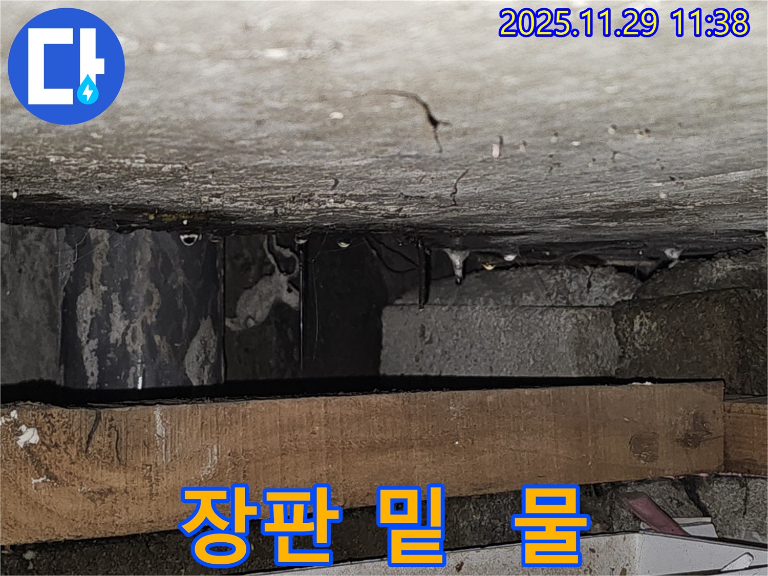 장판 밑에 고여있는 물 - 광탄면 누수