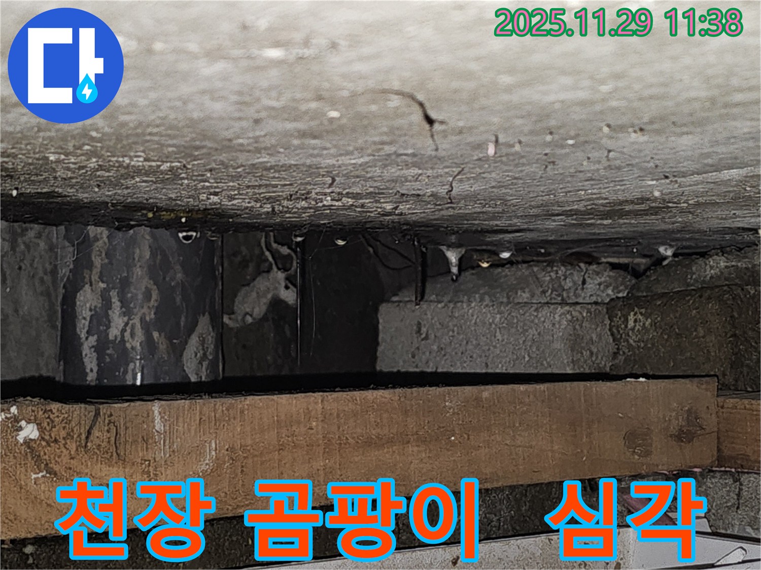 천장에 곰팡이가 심하게 핀 모습 - 파주시 광탄면 누수