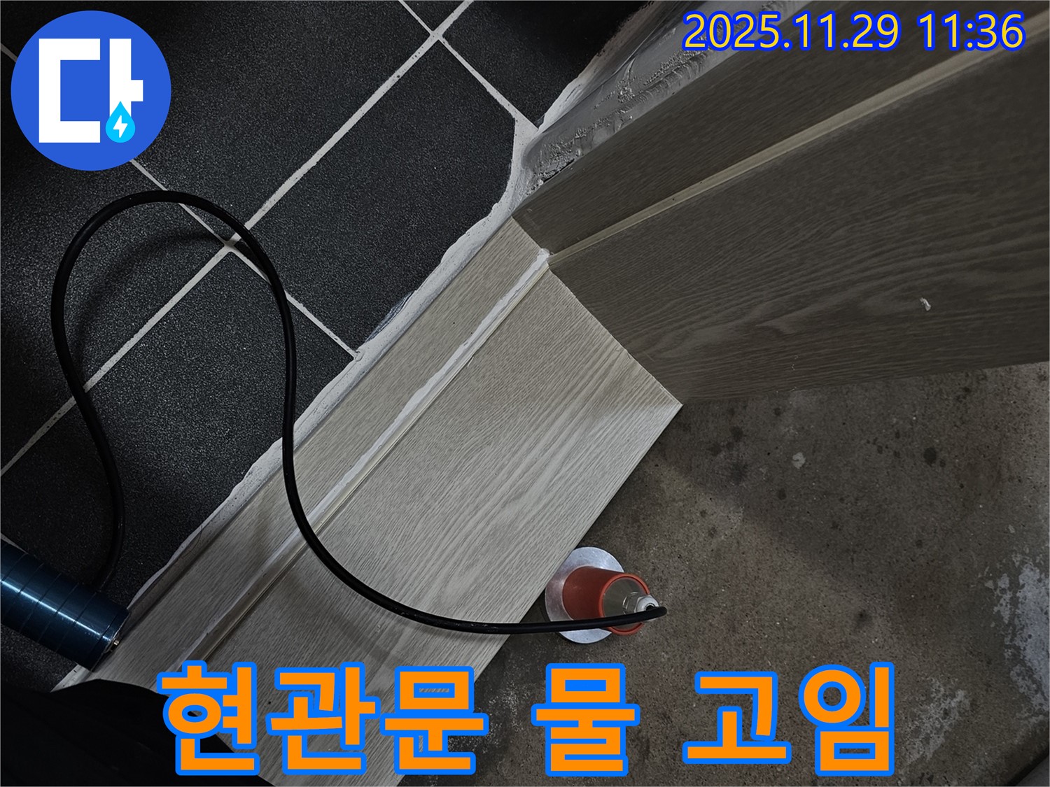 현관문 물 고임 - 빠른 누수 점검이 필수