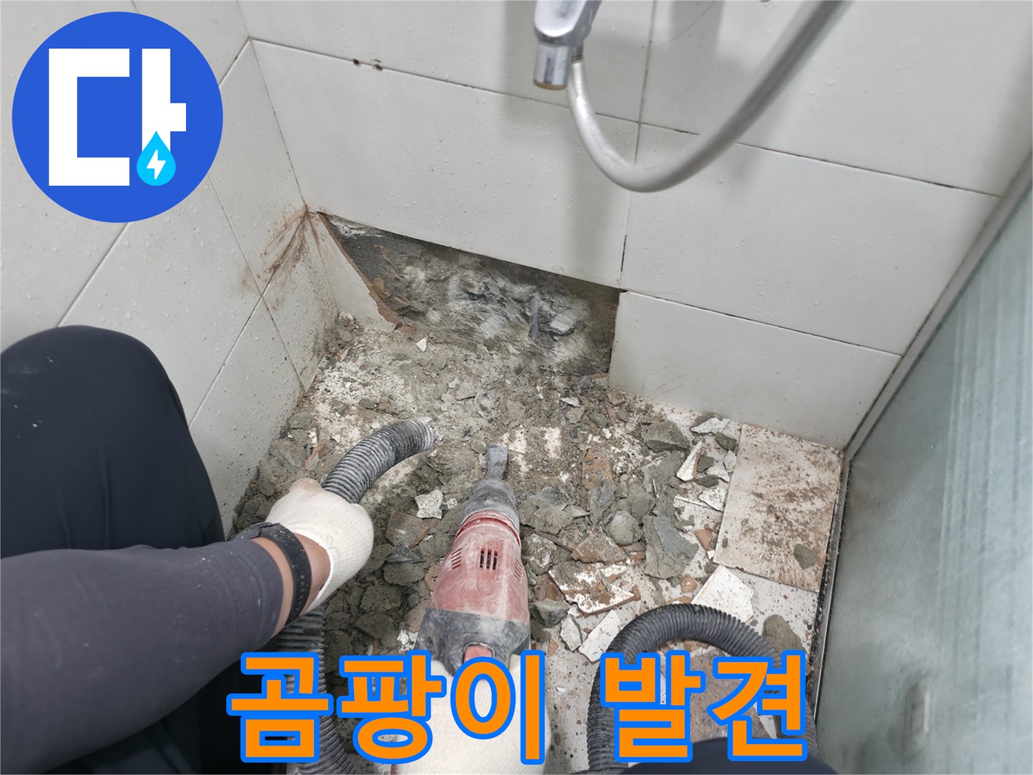 깨진 타일 제거 후 곰팡이 흔적 발견 - 습한 환경