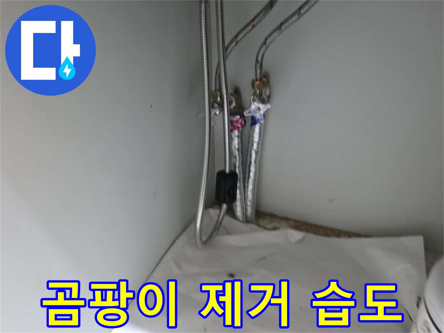 방배동 세면대 하부장 곰팡이 - 제거 및 습도 조절