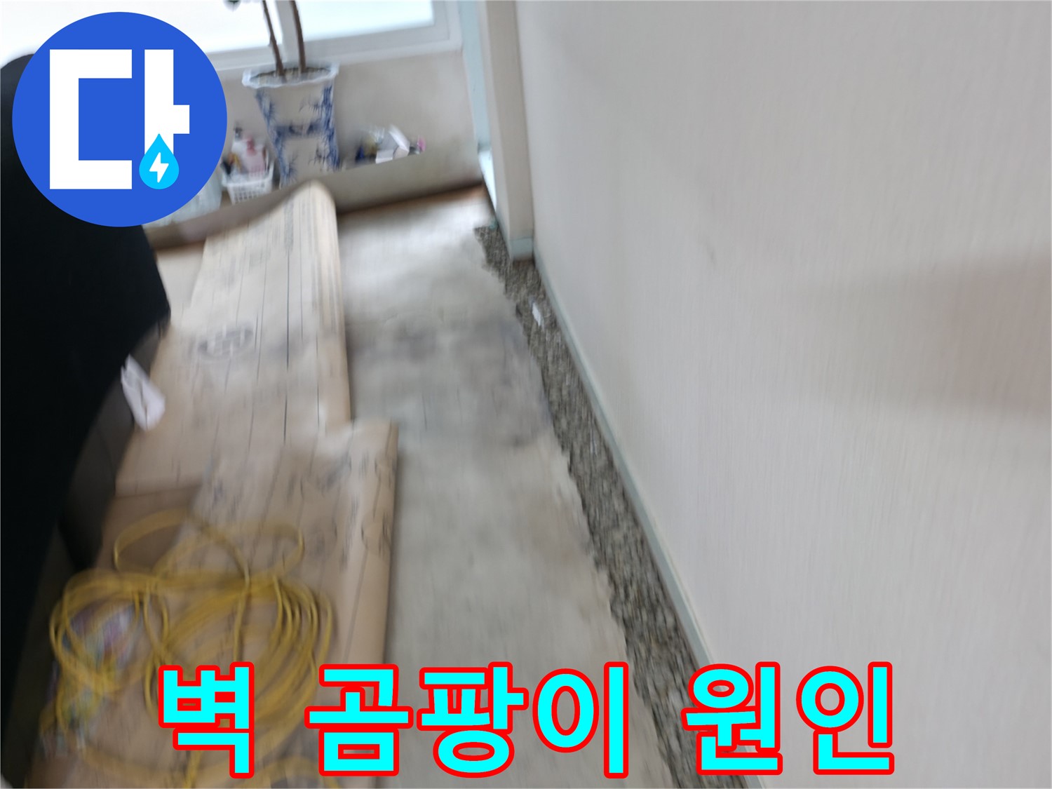 벽 모서리 곰팡이가 단순 결로가 아닌 누수 때문인지 확인하는 서초 누수 점검 과정 이미지입니다.