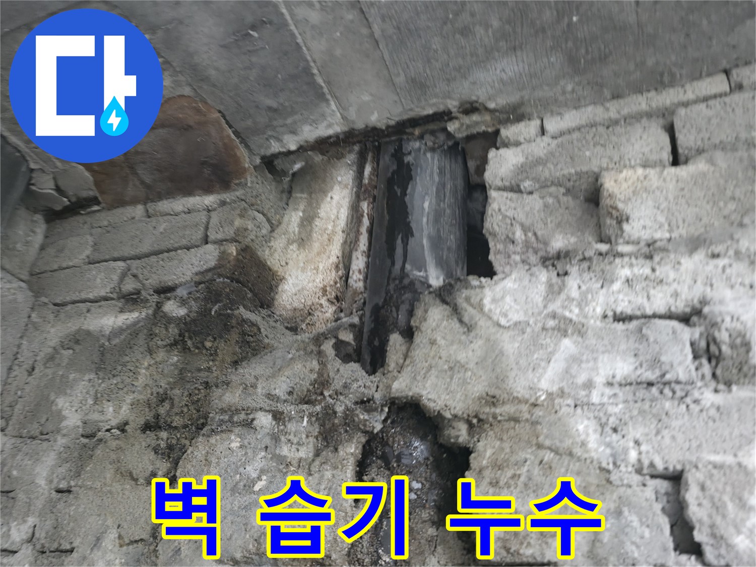 벽 습기로 인한 누수 - 벽이 축축하고 곰팡이 발생 위험이 있습니다 - 습기 제거와 방습 시공이 필요합니다.