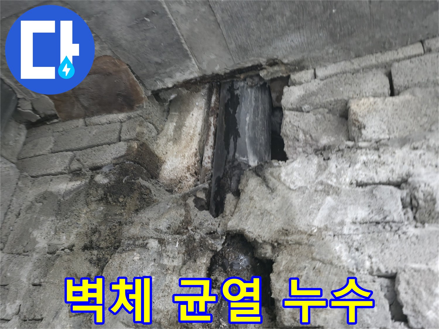 벽체 균열에서 시작된 누수 - 균열을 통해 물이 스며들고 있습니다 - 정밀 진단 후 맞춤 보수가 필요합니다.