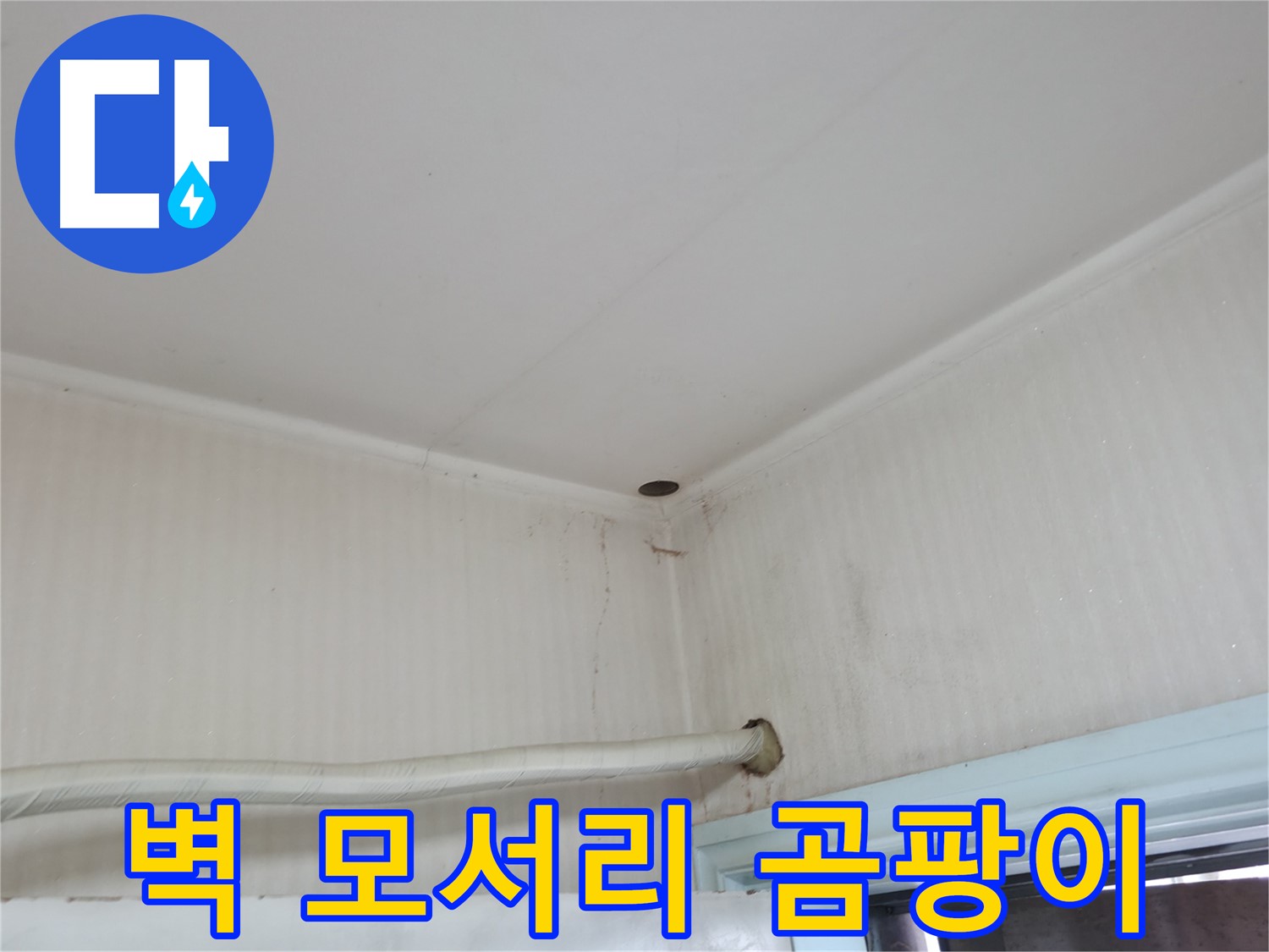 서초구 서초2동 누수 - 벽을 타고 물이 흐르고 곰팡이까지 생겼다면 - 건강을 위협하는 심각한 상황이에요.