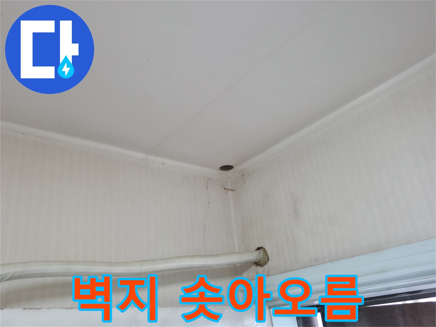 서초구 서초2동 누수 - 곰팡이 핀 벽지를 뜯어보니 누수가 더 심각한 상태입니다.