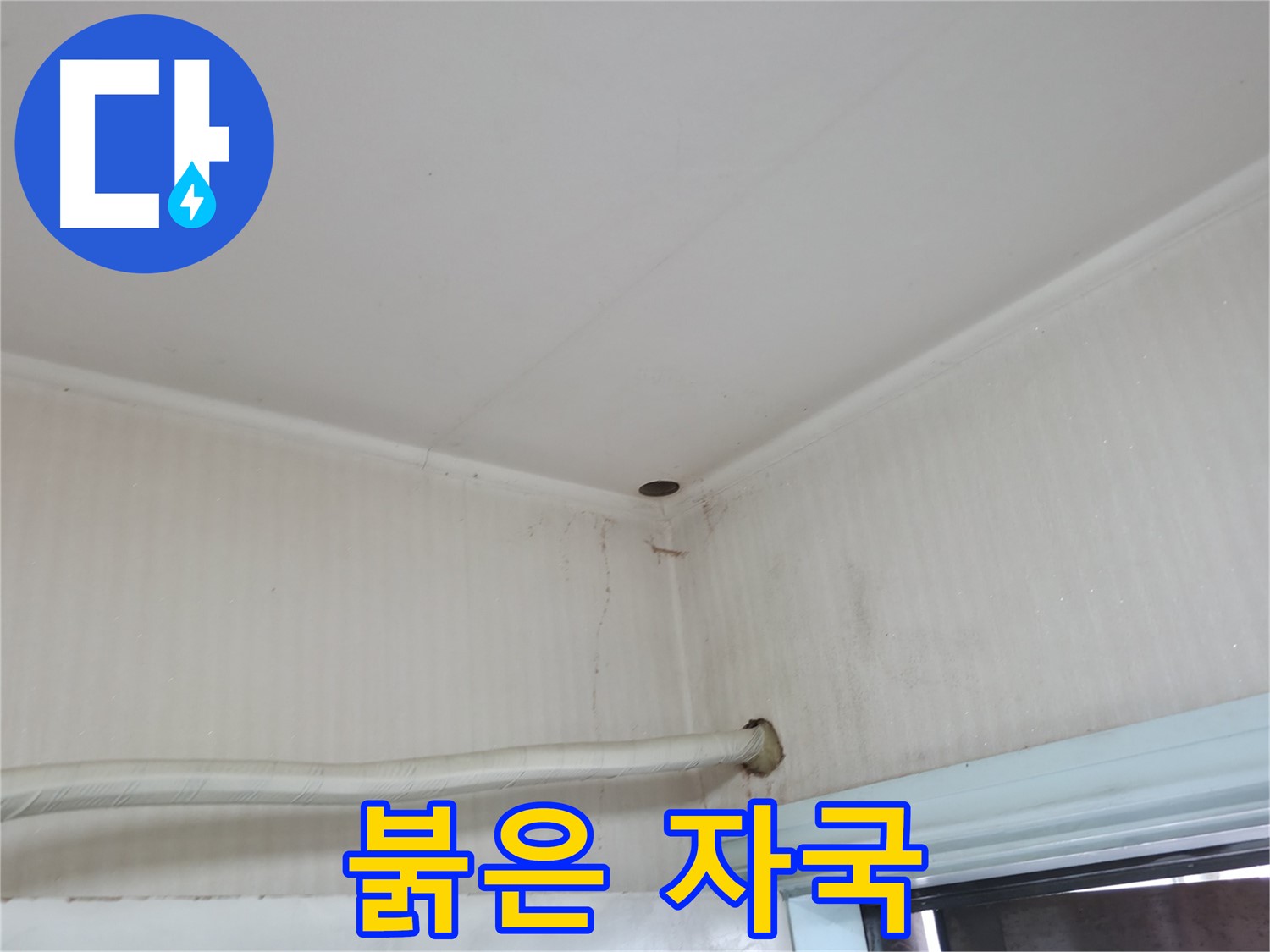 서초구 서초동 누수 - 콘크리트 벽이 젖어 있다면 누수의 심각한 신호일 수 있습니다.