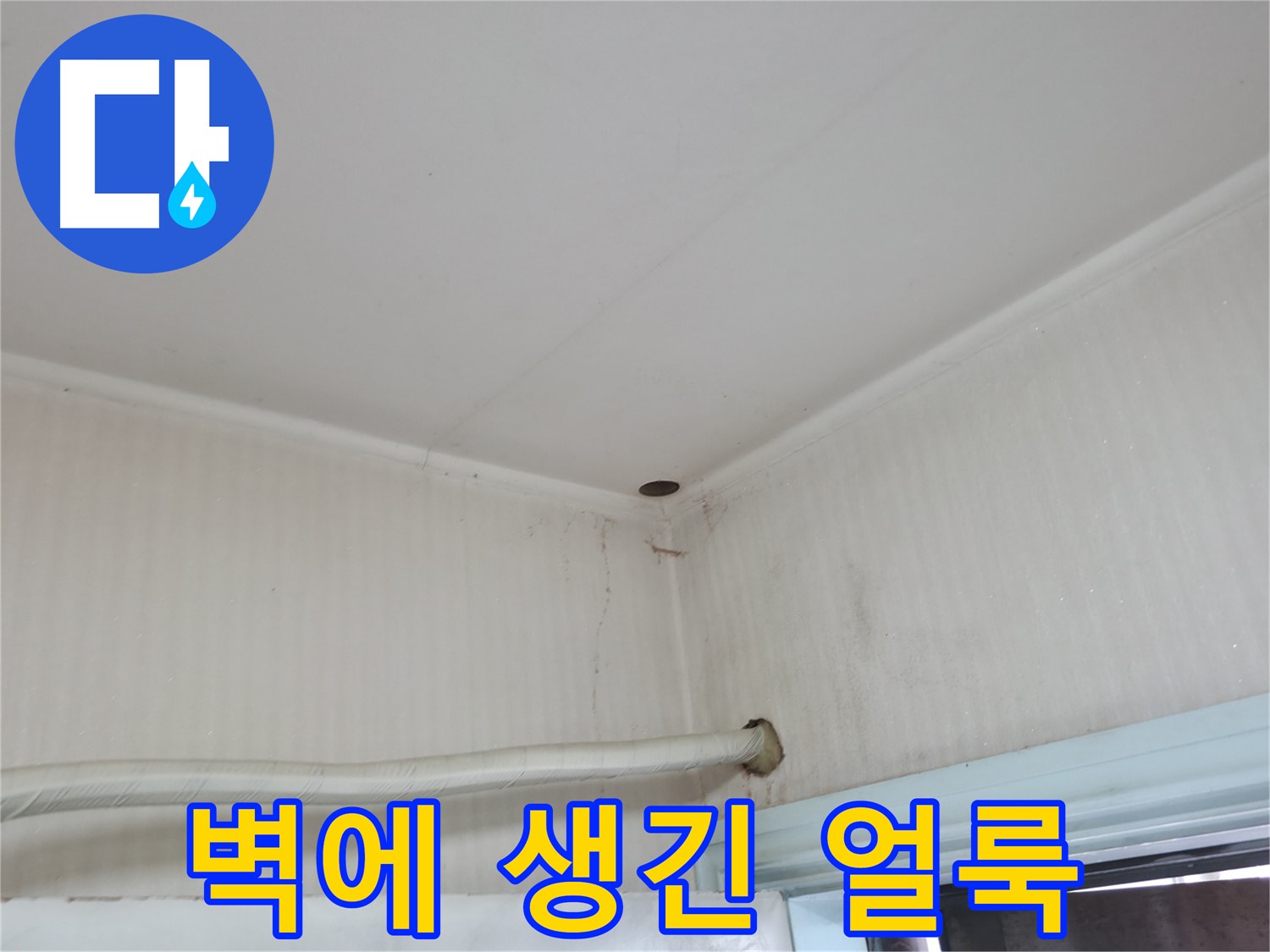 서초2동 벽 얼룩 - 누수 진행 중?!