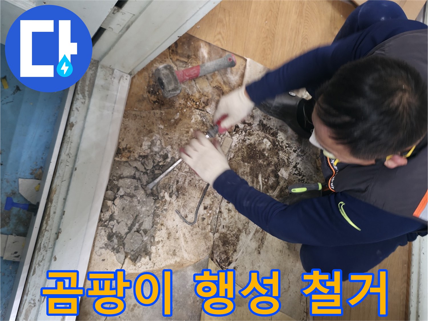 서초구 누수 - 곰팡이 행성 바닥 철거