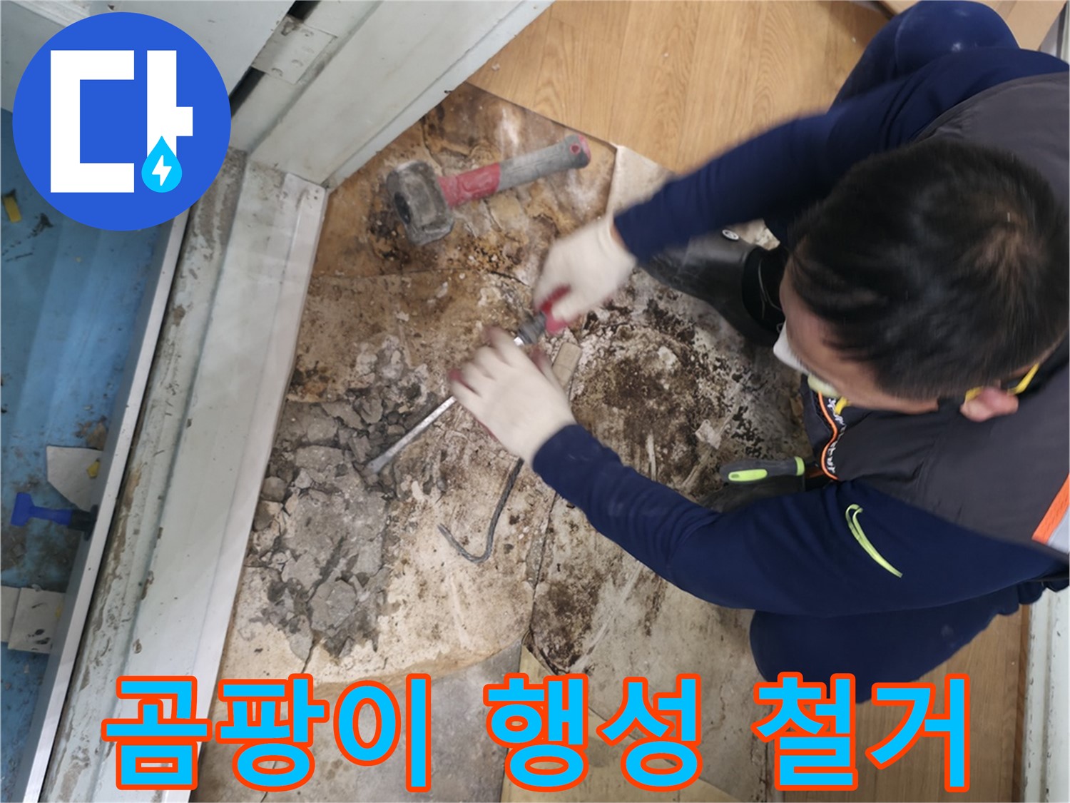 서초구 누수 - 곰팡이 행성 바닥 철거