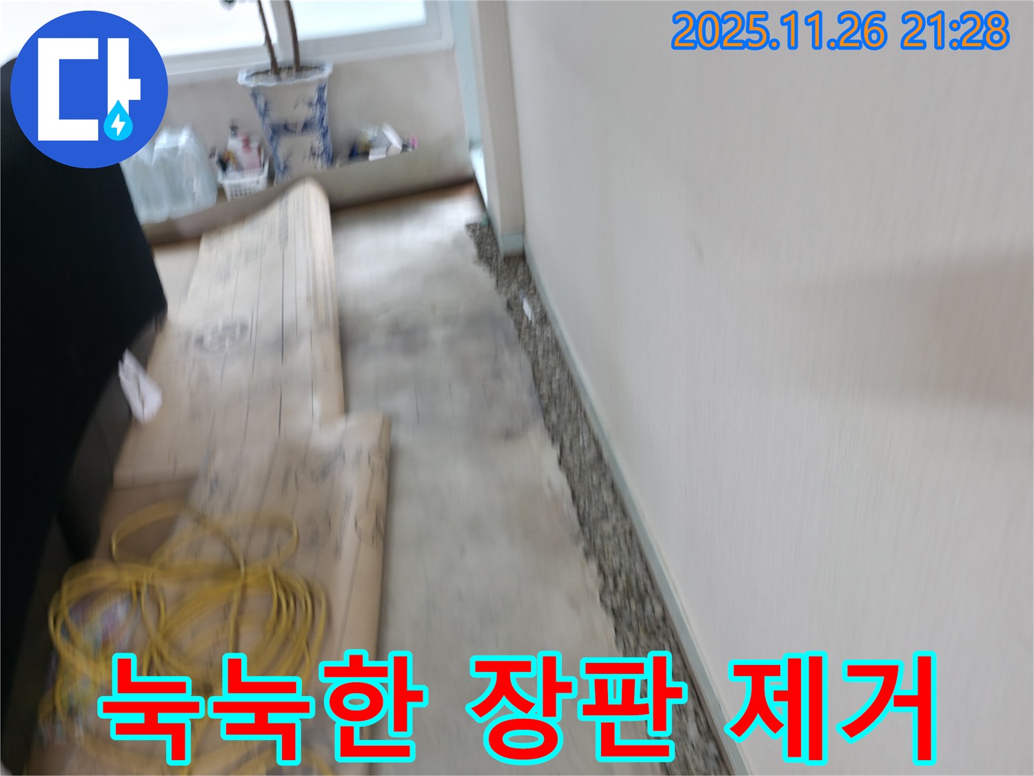 서초구 서초2동 눅눅한 장판, 곰팡이 싹 제거 - 쾌적함만 남았습니다!