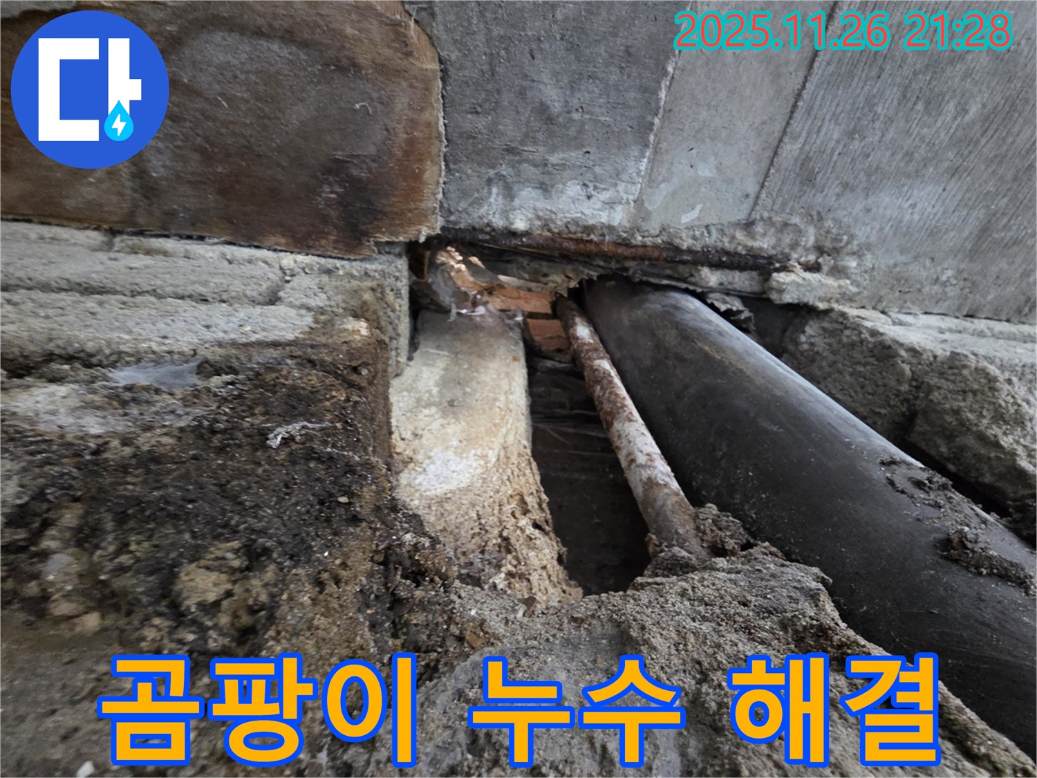 서초구 서초동 누수 - 곰팡이 걱정 없이 쾌적한 환경으로!