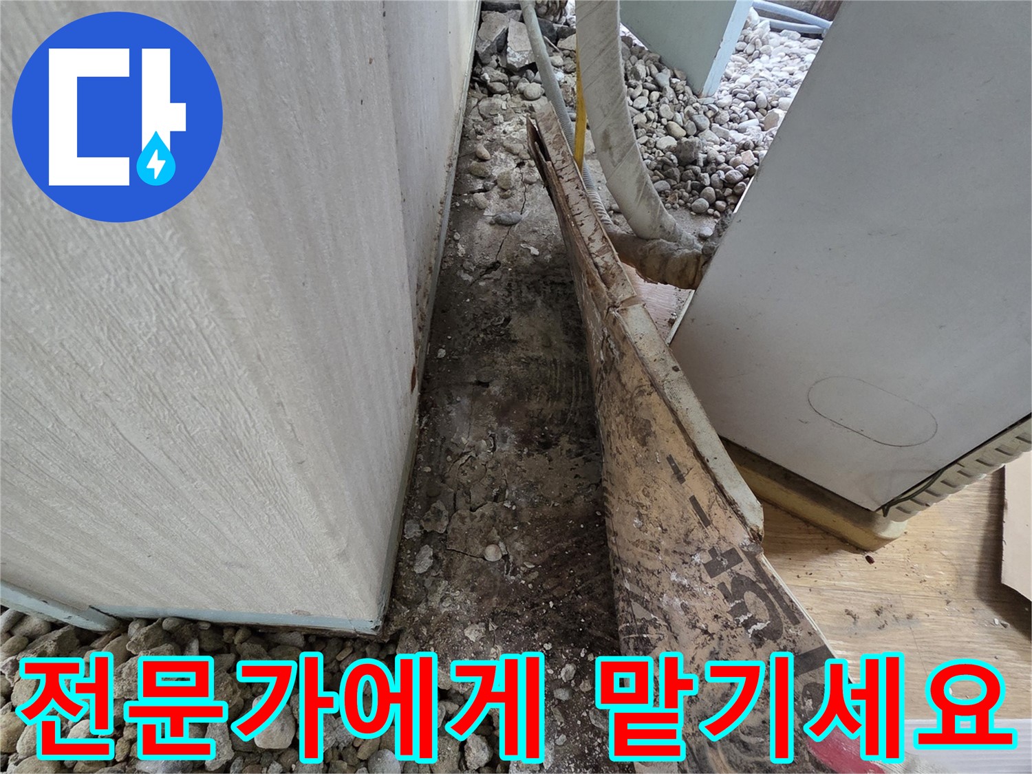 서초구 서초동 누수 - 건물 지하 정화조 배관 손상으로 인한 누수 및 악취