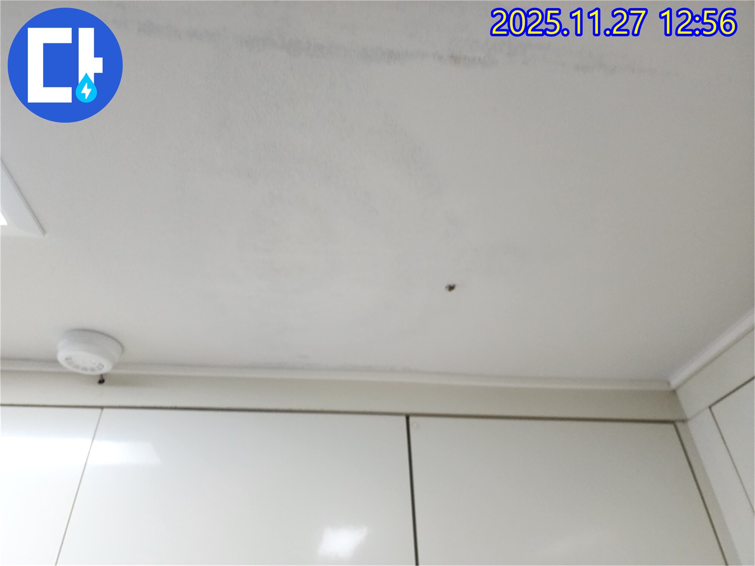 포천 신북면 삼정리 누수 - 젖은 천장은 긴급 상황