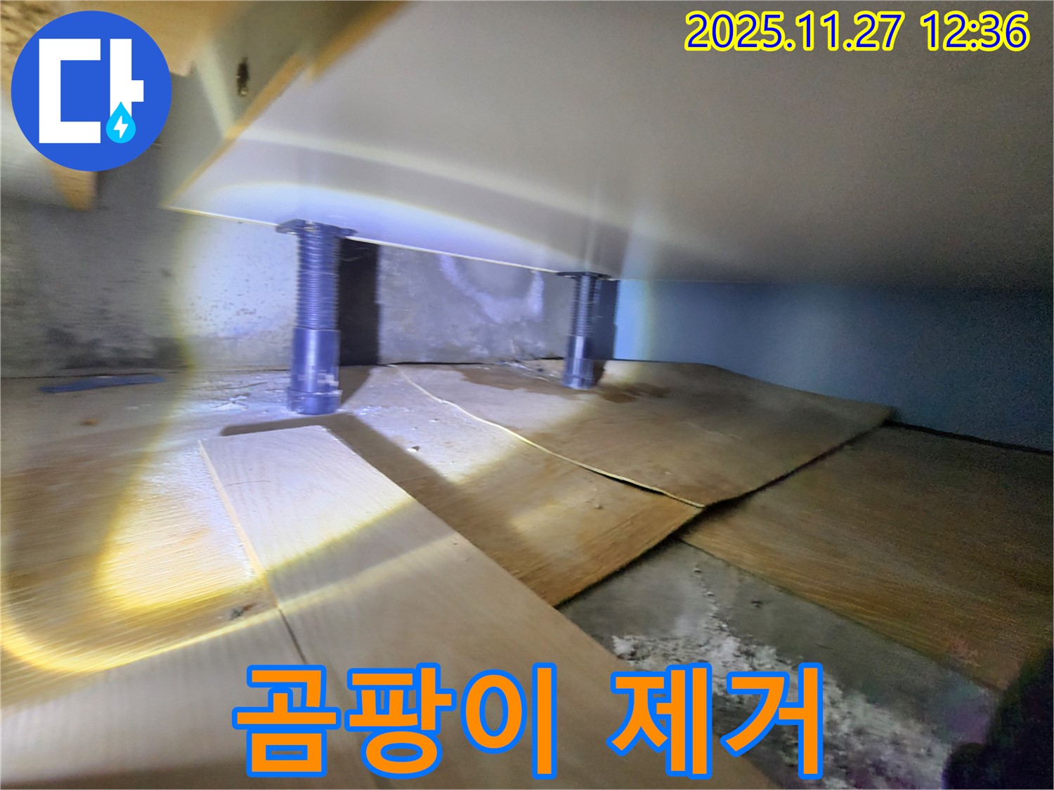 곰팡이 제거 - 누수 해결과 함께 곰팡이 걱정 끝!