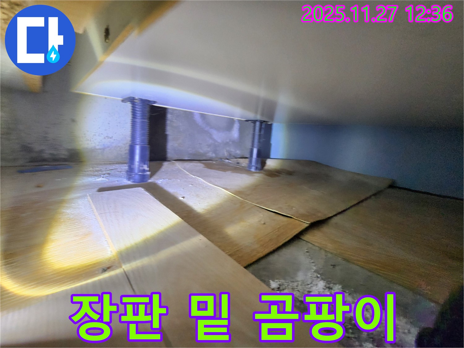 장판 밑 곰팡이 - 건강을 위협하는 누수!