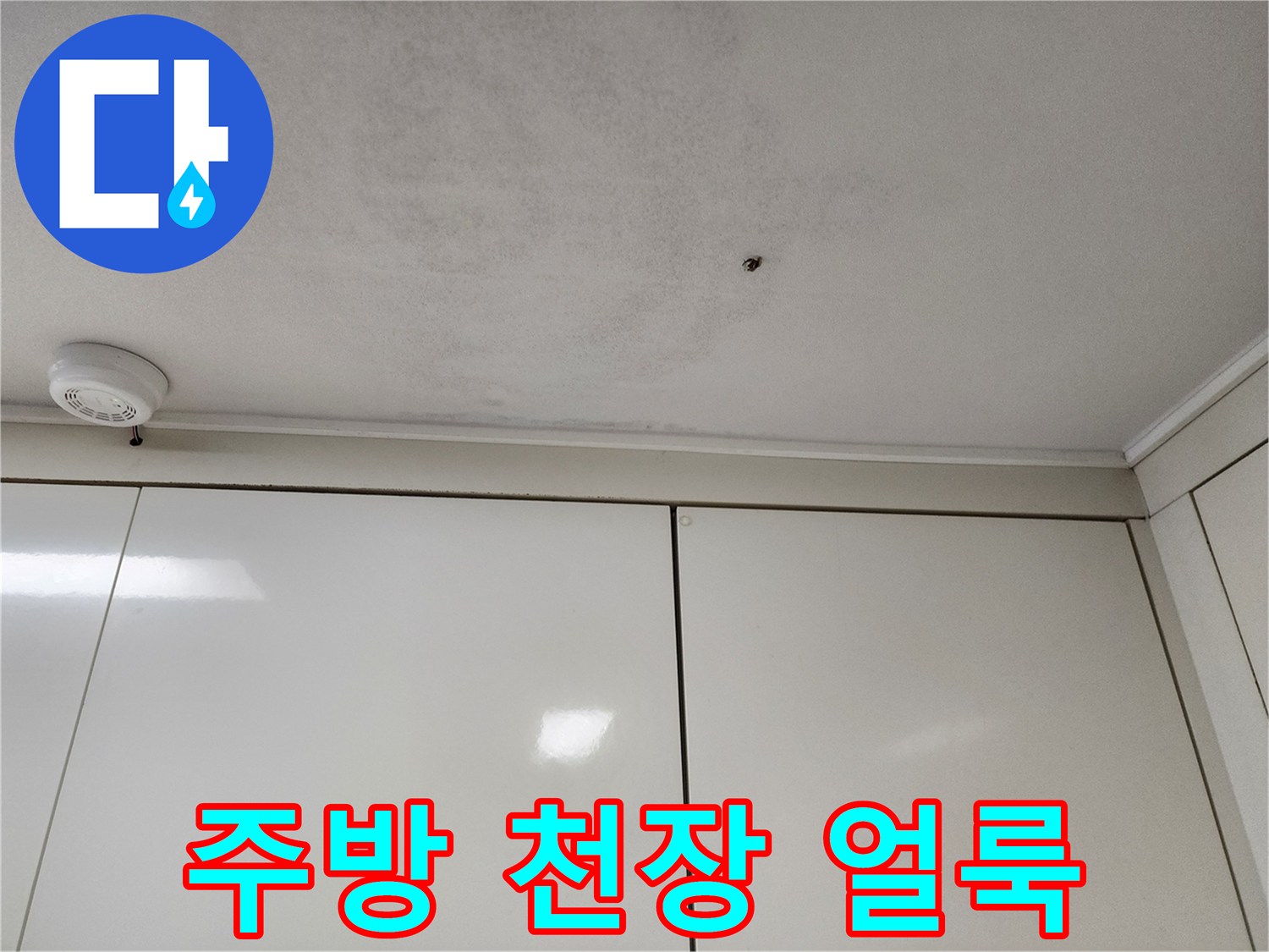 천장-마감재-부위의-젖은-흔적과-변색