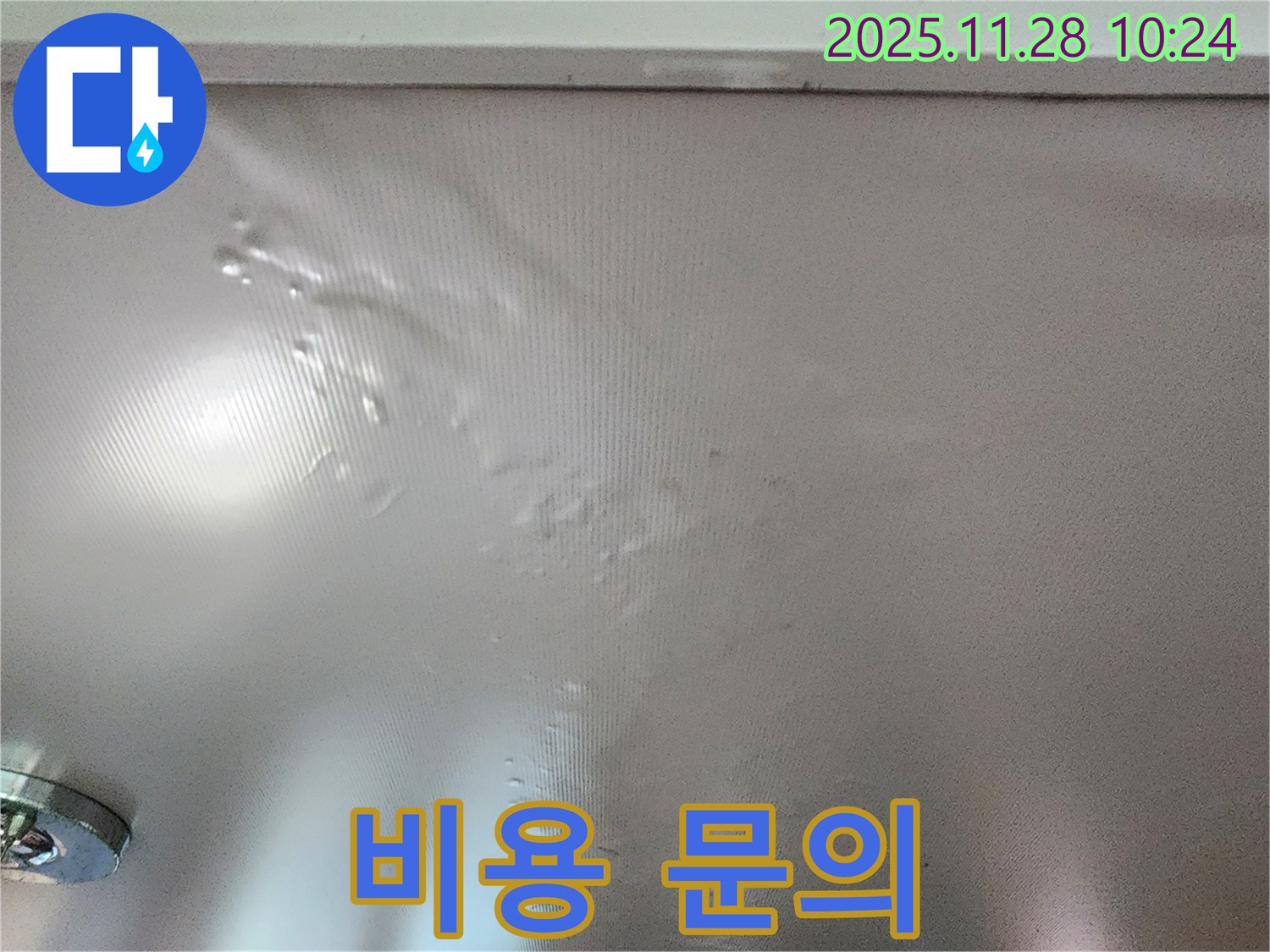 곰팡이 핀 벽 - 누수탐지 비용 문의하세요.