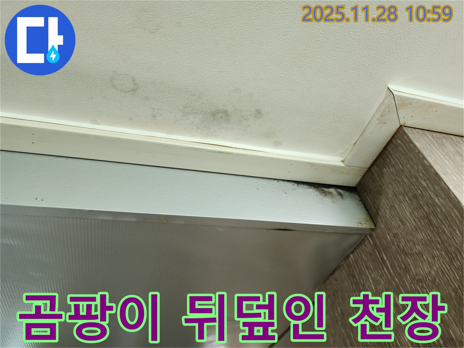 금동리 누수 - 곰팡이로 뒤덮인 천장