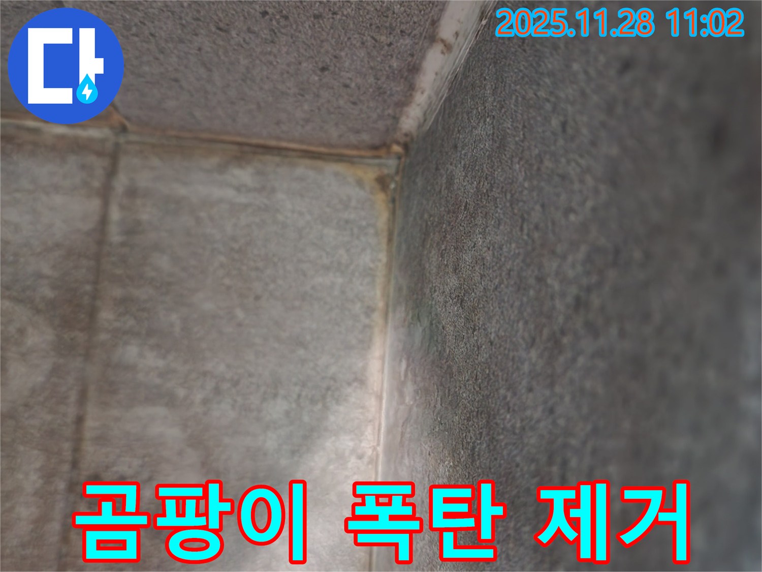 금동리 욕실 - 천장 곰팡이 폭탄 제거 대작전