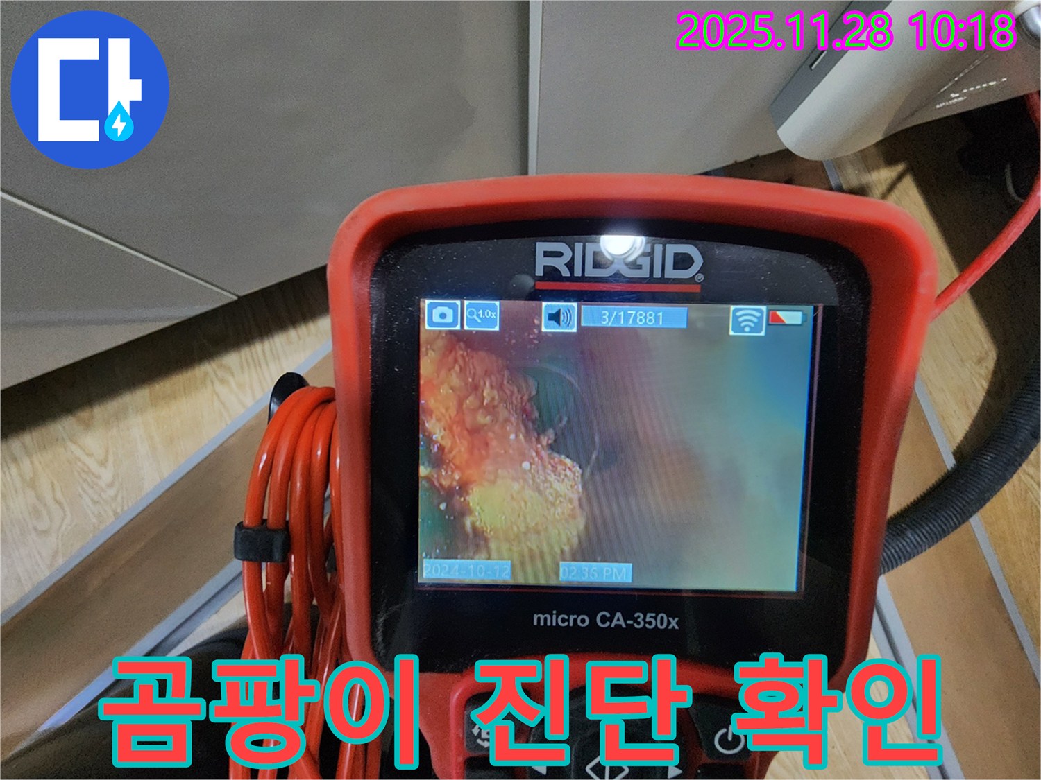 배관 곰팡이 진단 - 꼼꼼하게 확인!