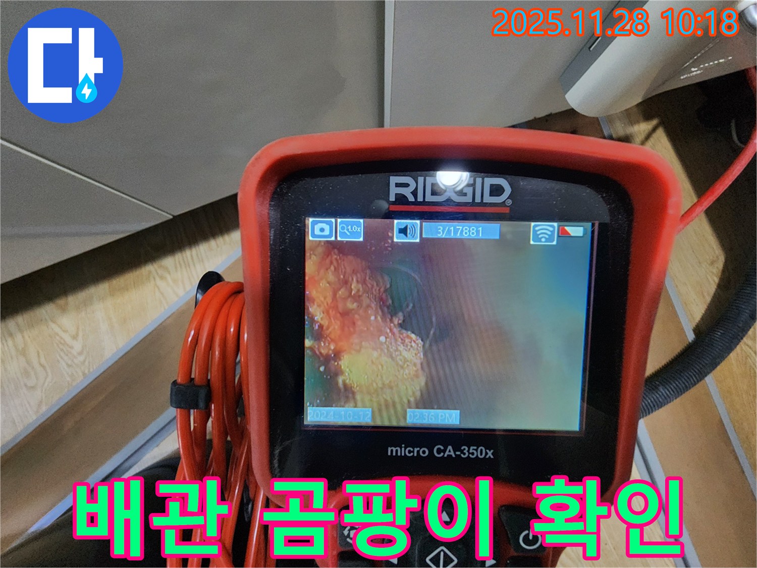 배관 내시경으로 곰팡이 확인 - 곰팡이까지 싹!
