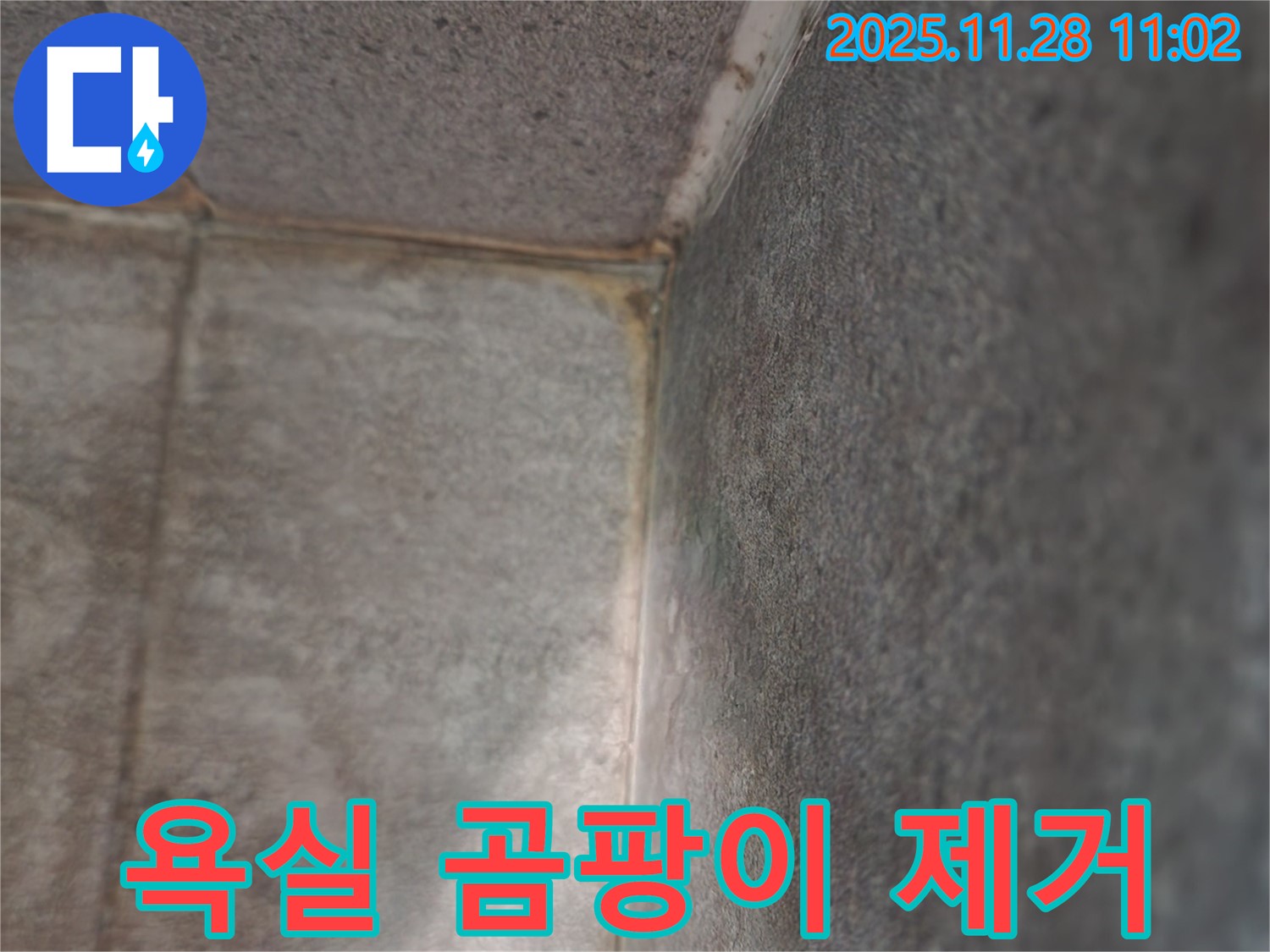 신북면 금동리 욕실 누수 현장 - 곰팡이 제거 작업 시작