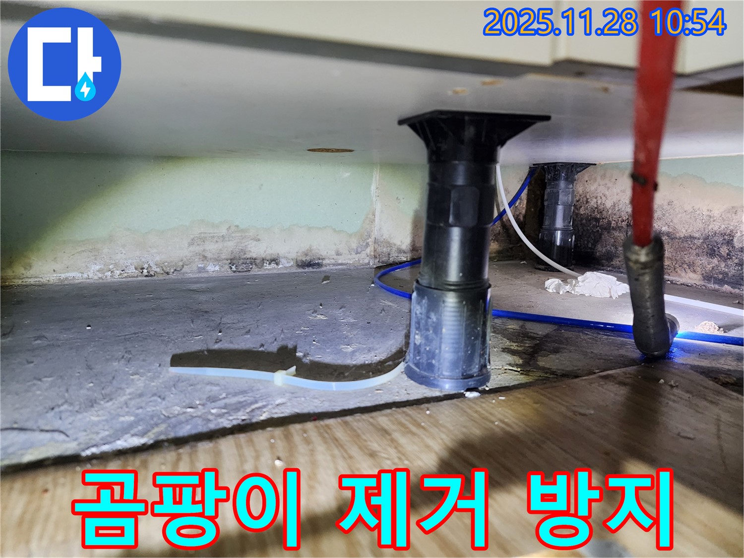 싱크대 하부 곰팡이 - 건강 위협, 즉시 제거