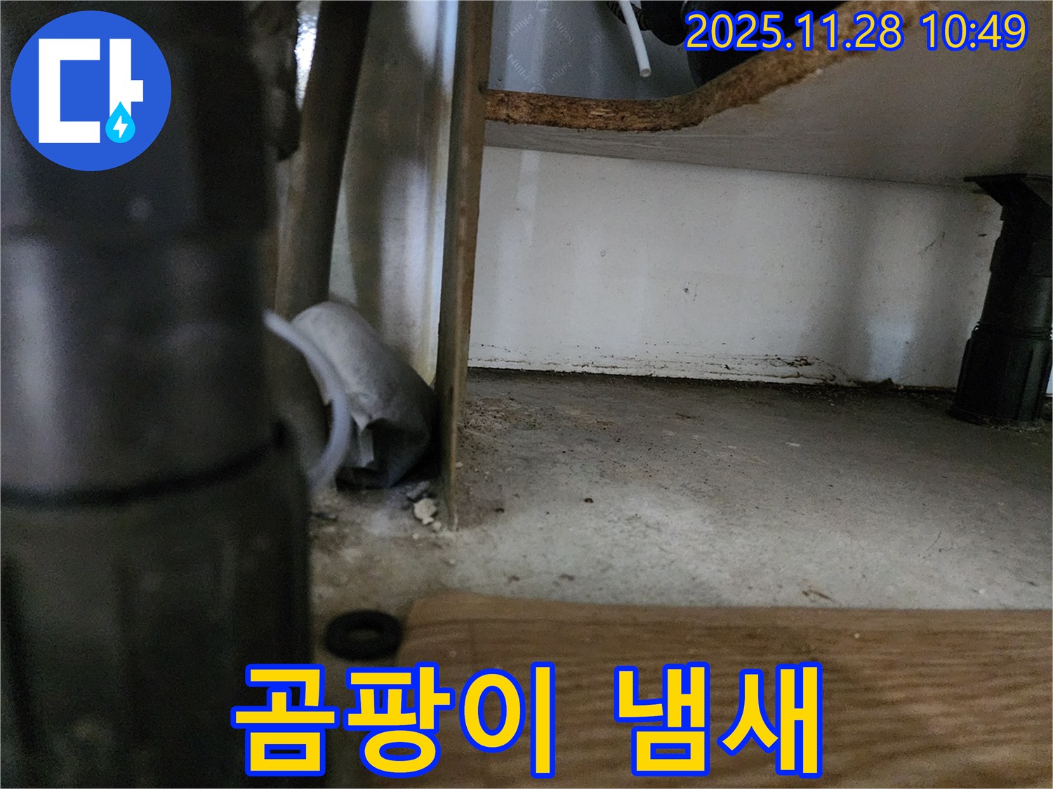 싱크대 하부 - 곰팡이 냄새, 건강 위협