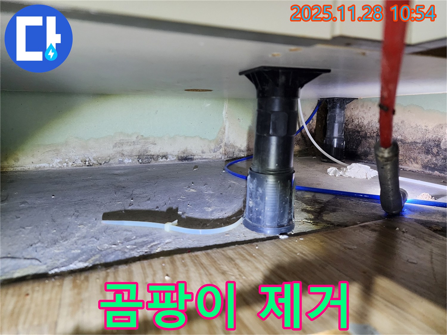 싱크대 하부 곰팡이 제거 - 쾌적한 환경