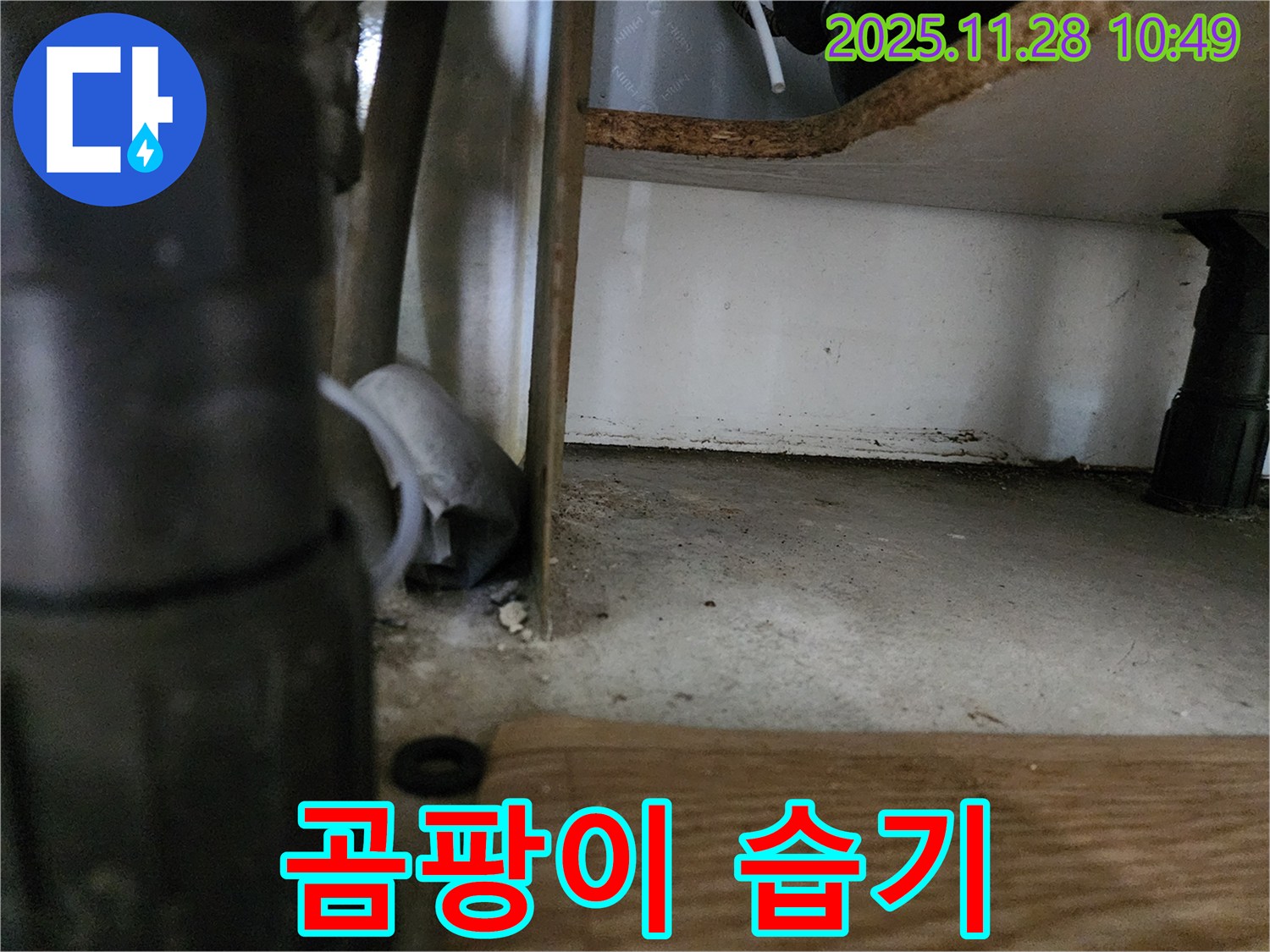 싱크대 하부 - 곰팡이와 습기, 누수 의심