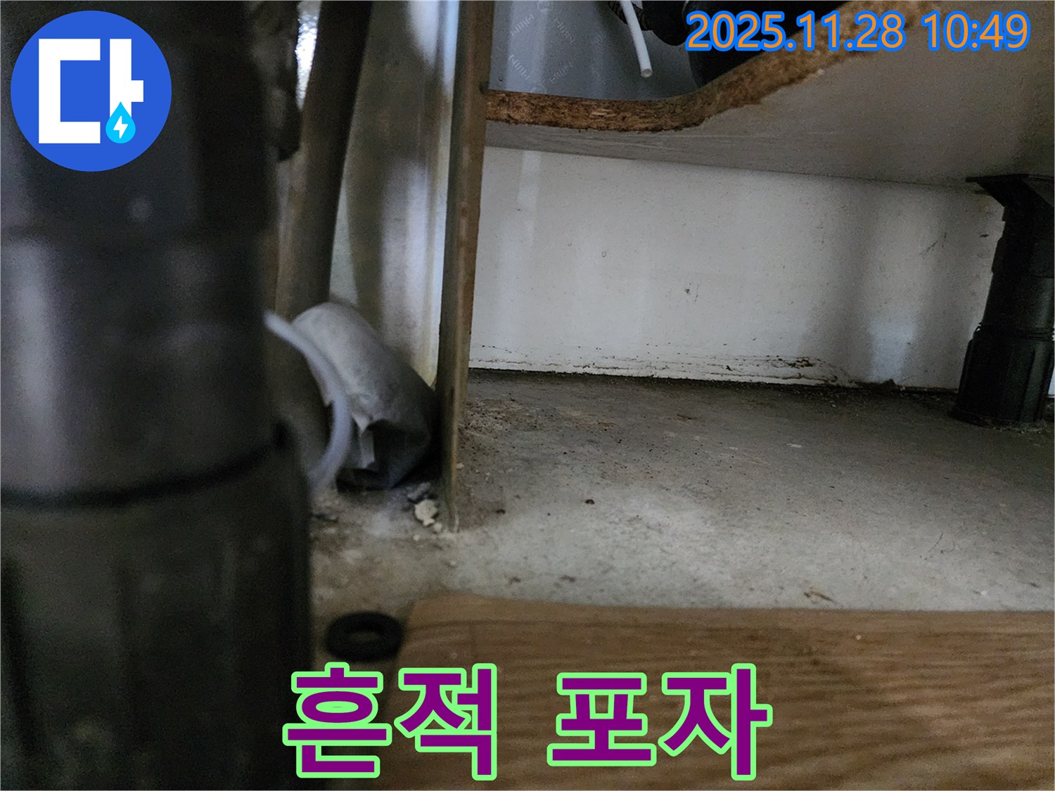 싱크대 하부 - 물 샌 흔적, 곰팡이 포자