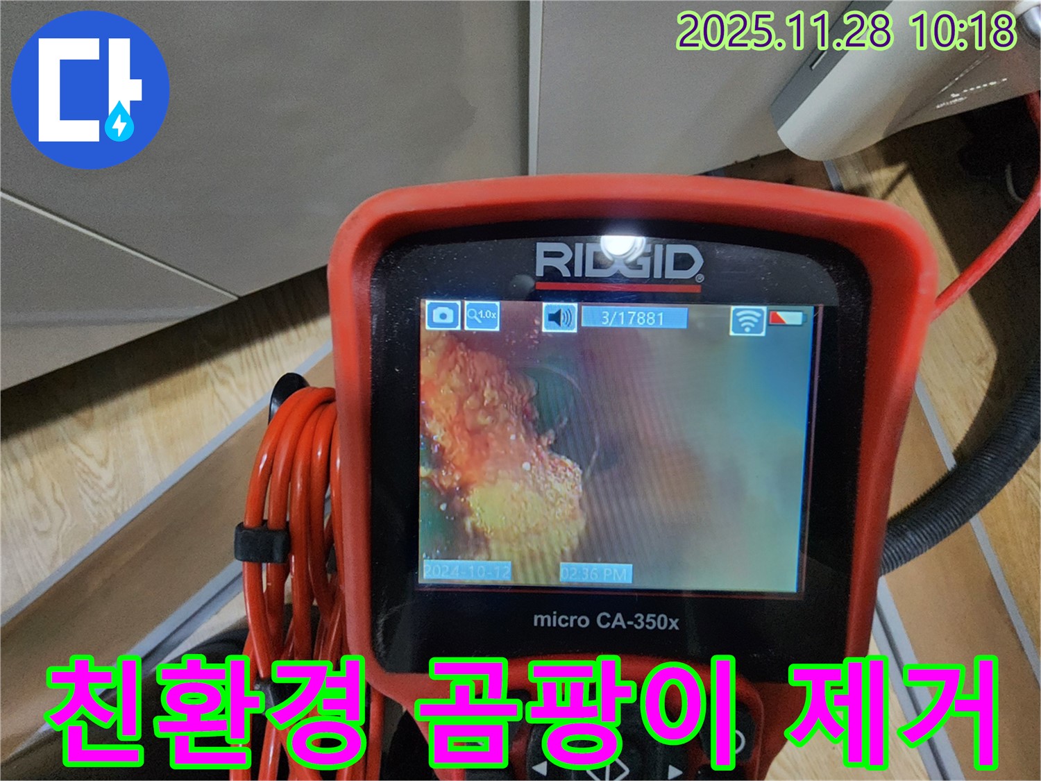 친환경 약품으로 곰팡이 제거 - 안전하게!