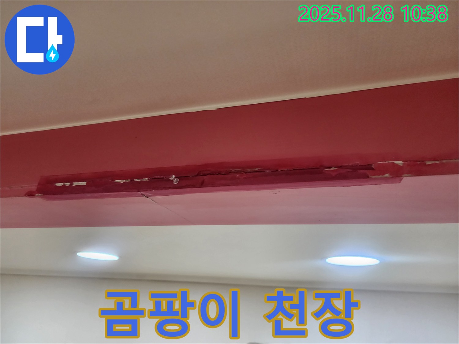 포천 금동리 곰팡이 핀 천장 - 갈라짐