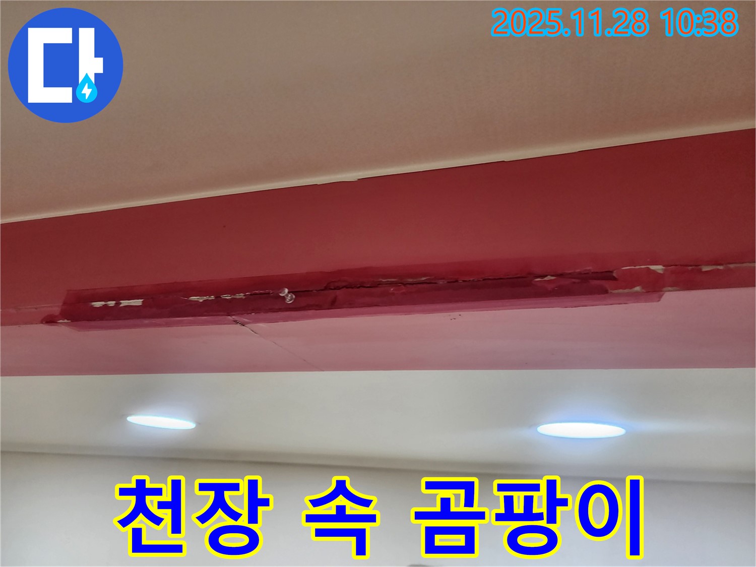 포천 금동리 낡은 천장 속 누수 - 곰팡이 발생