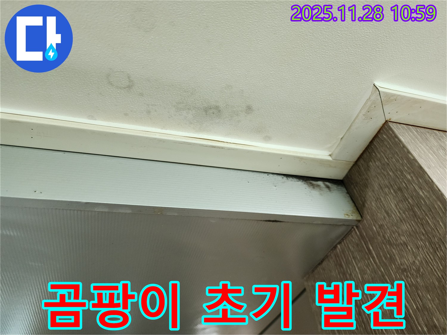 포천 금동리 누수 - 천장 곰팡이 초기 발견