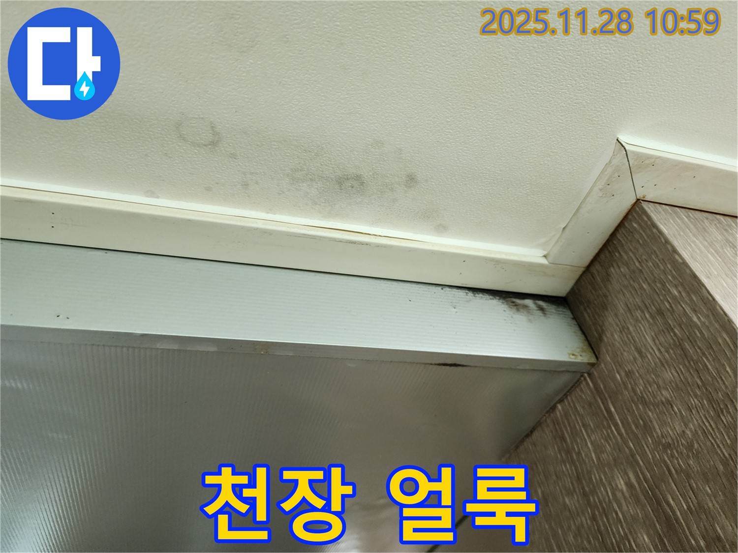 포천 금동리 누수 - 천장에 생긴 얼룩