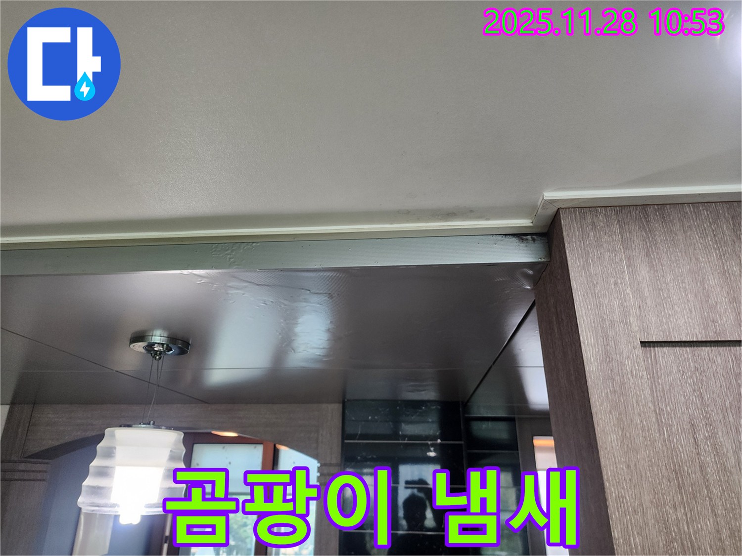 포천 금동리 천장 누수 - 곰팡이 냄새 발생