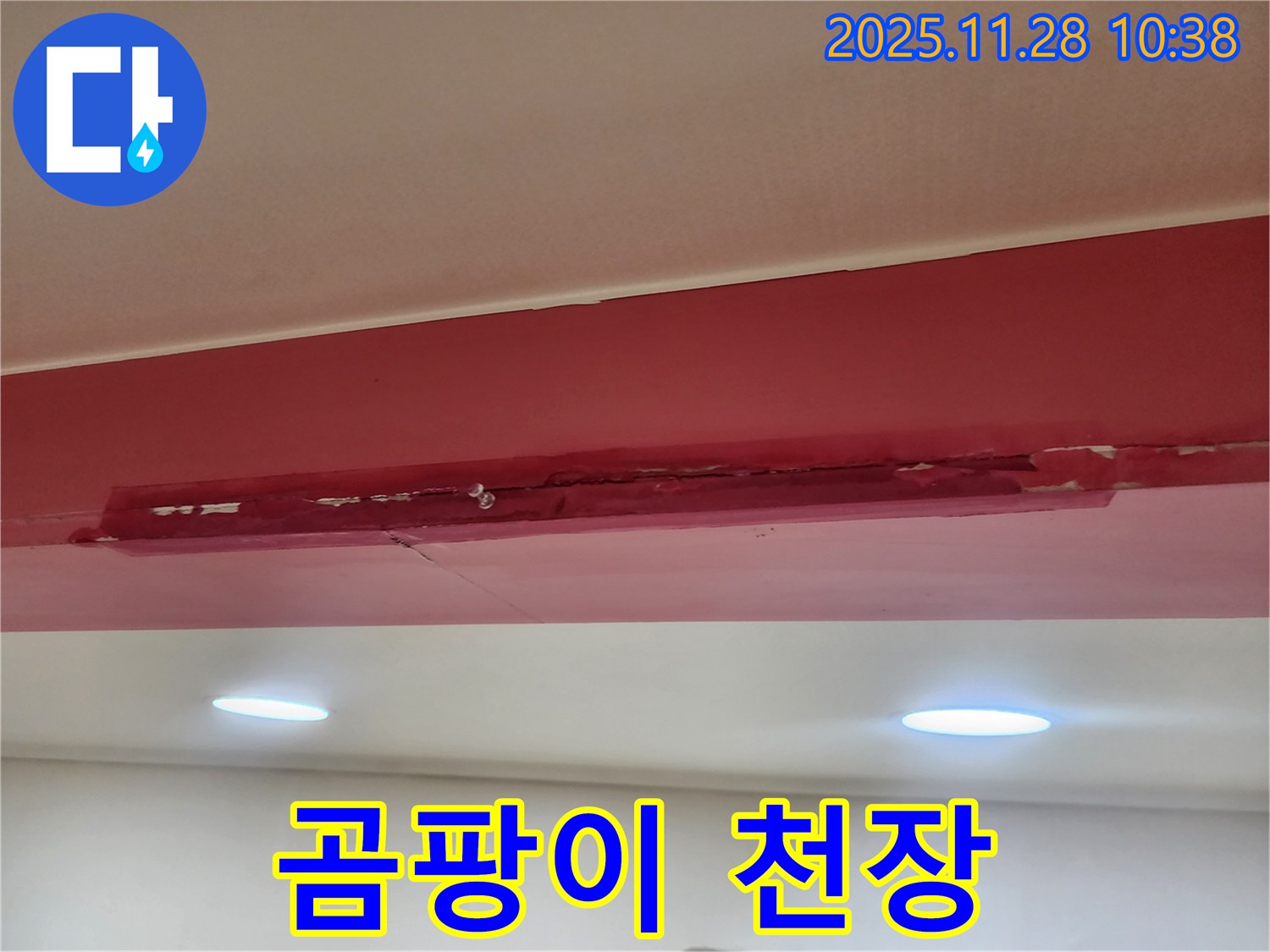 포천시 금동리 곰팡이 핀 천장 - 갈라짐