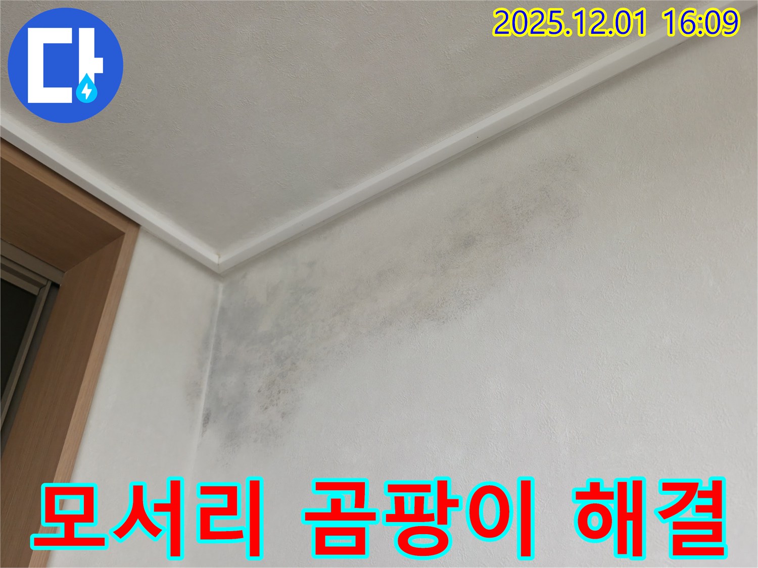 벽 모서리 곰팡이 완벽 해결 - 기흥구 누수 공사