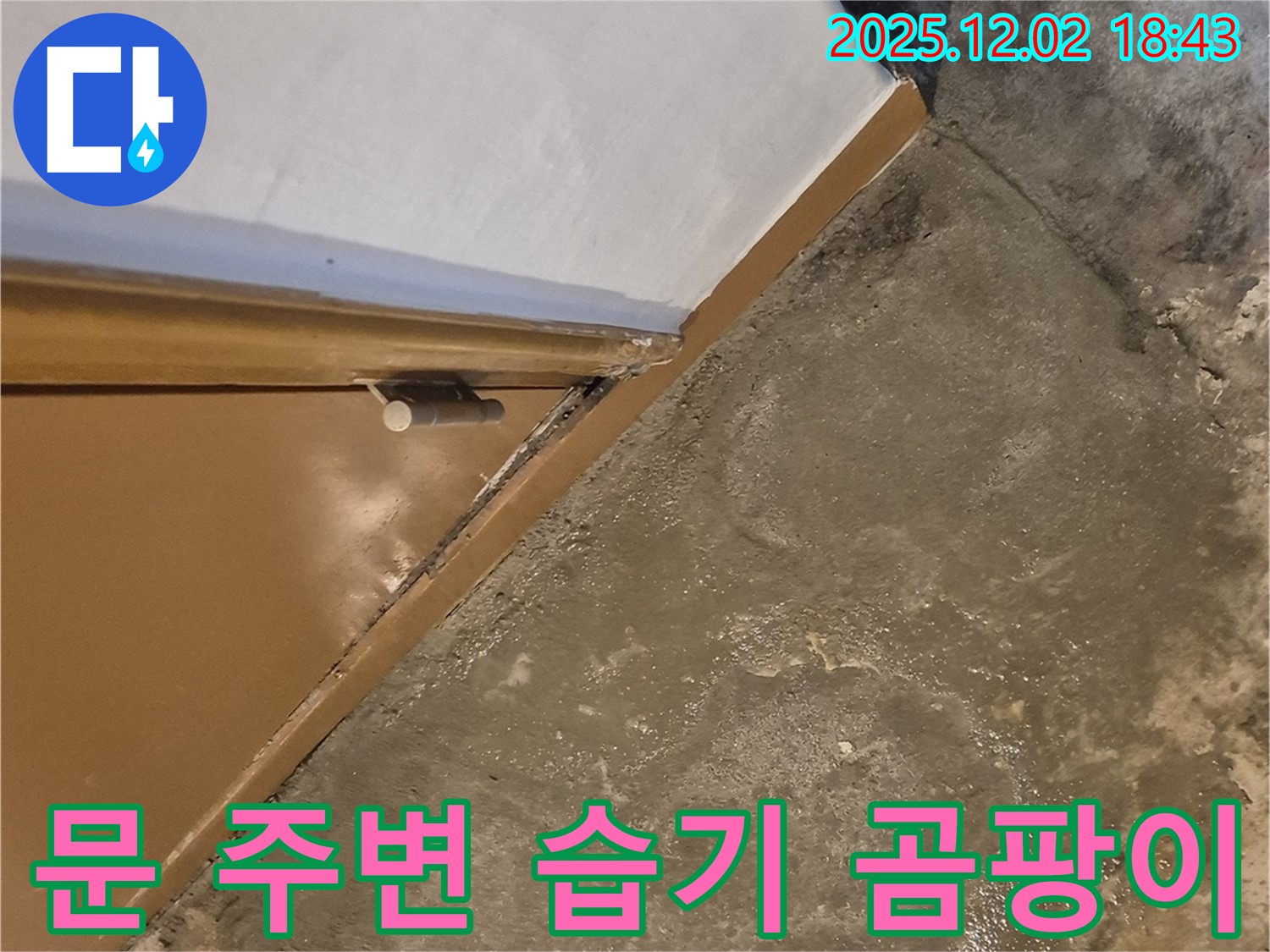 문 주변 습기 - 곰팡이 문제 해결 과정